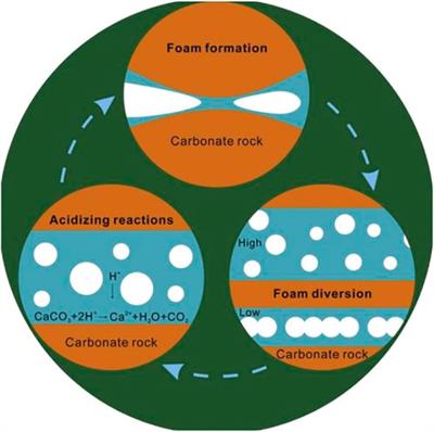 Comparative analysis of matrix-retarded acidizing methods for tight carbonate reservoirs: Gelled acid, micro-emulsified acid, and foamed acid